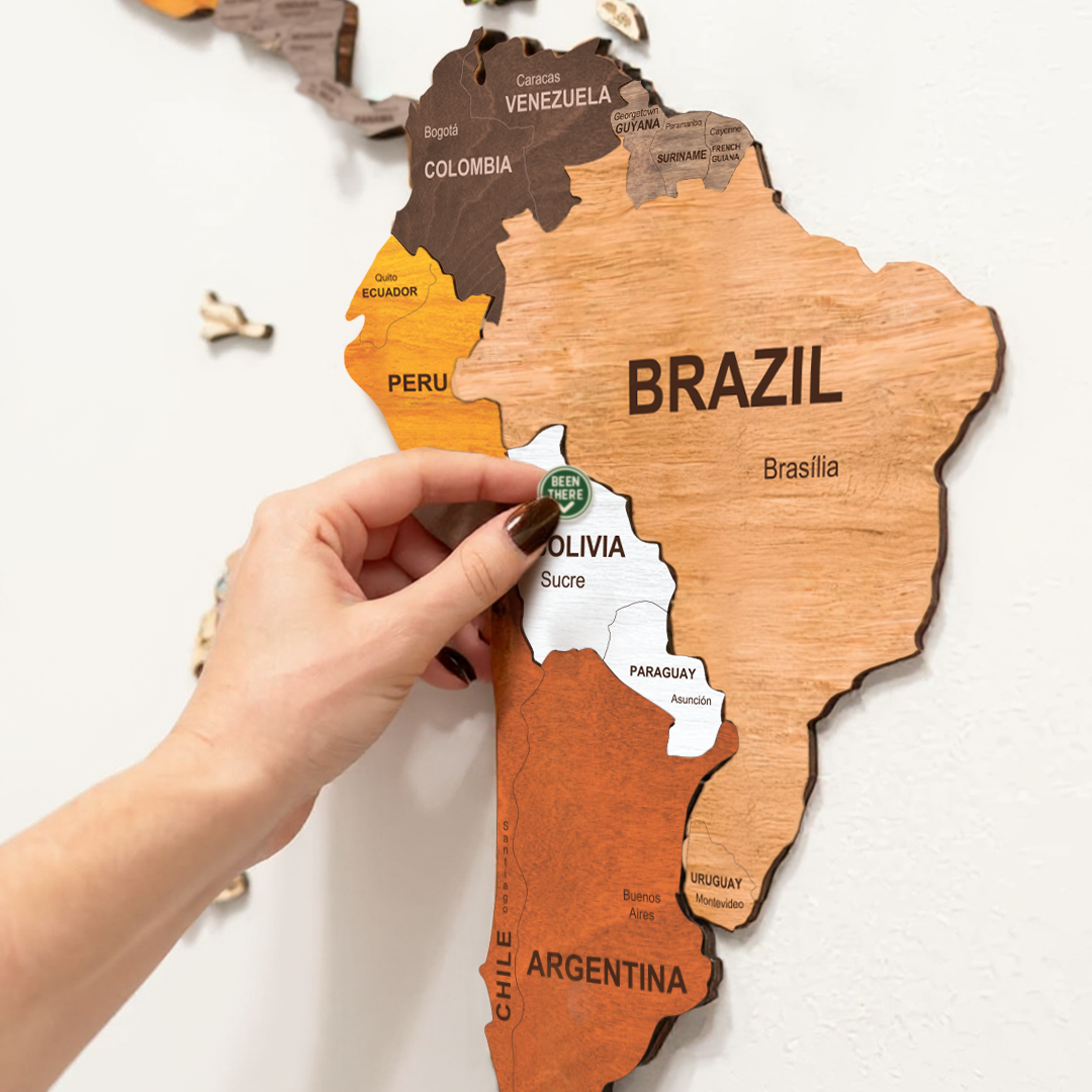 The World Wooden Map (Made in USA)