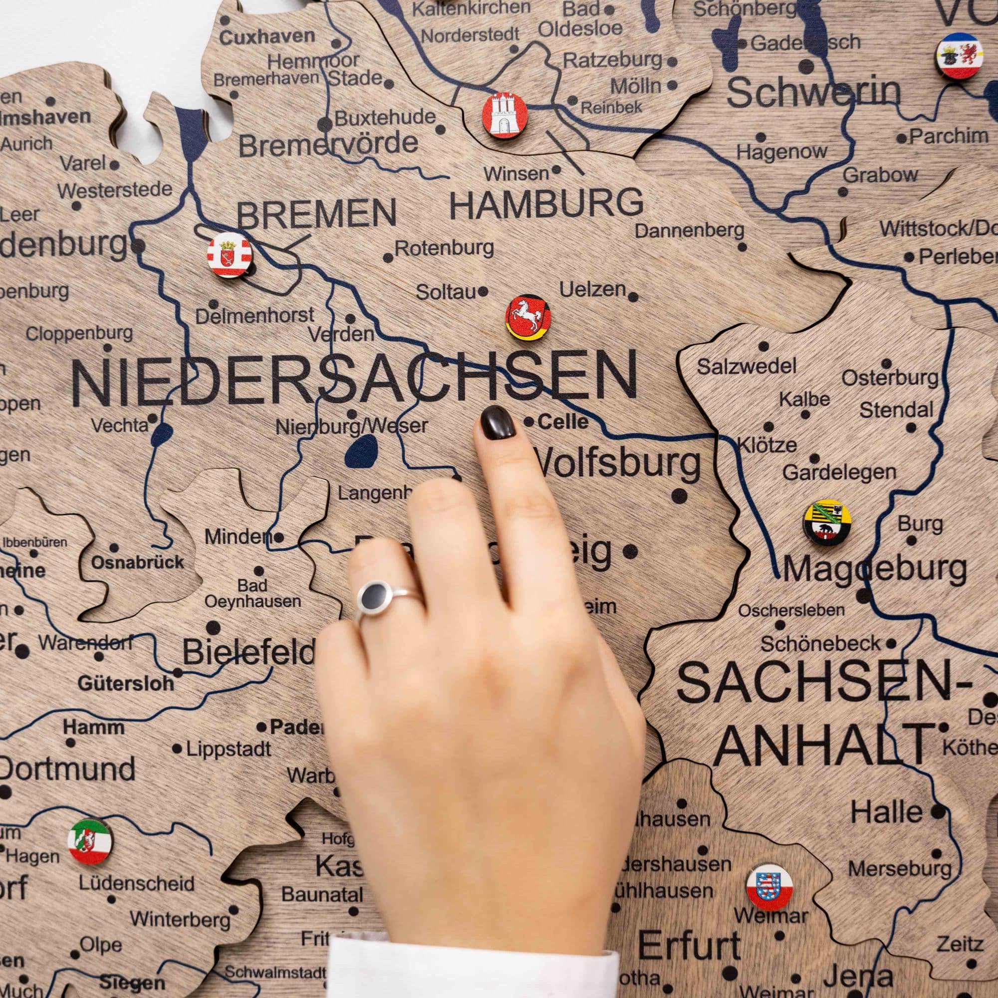 3D Germany Wooden Map Terra