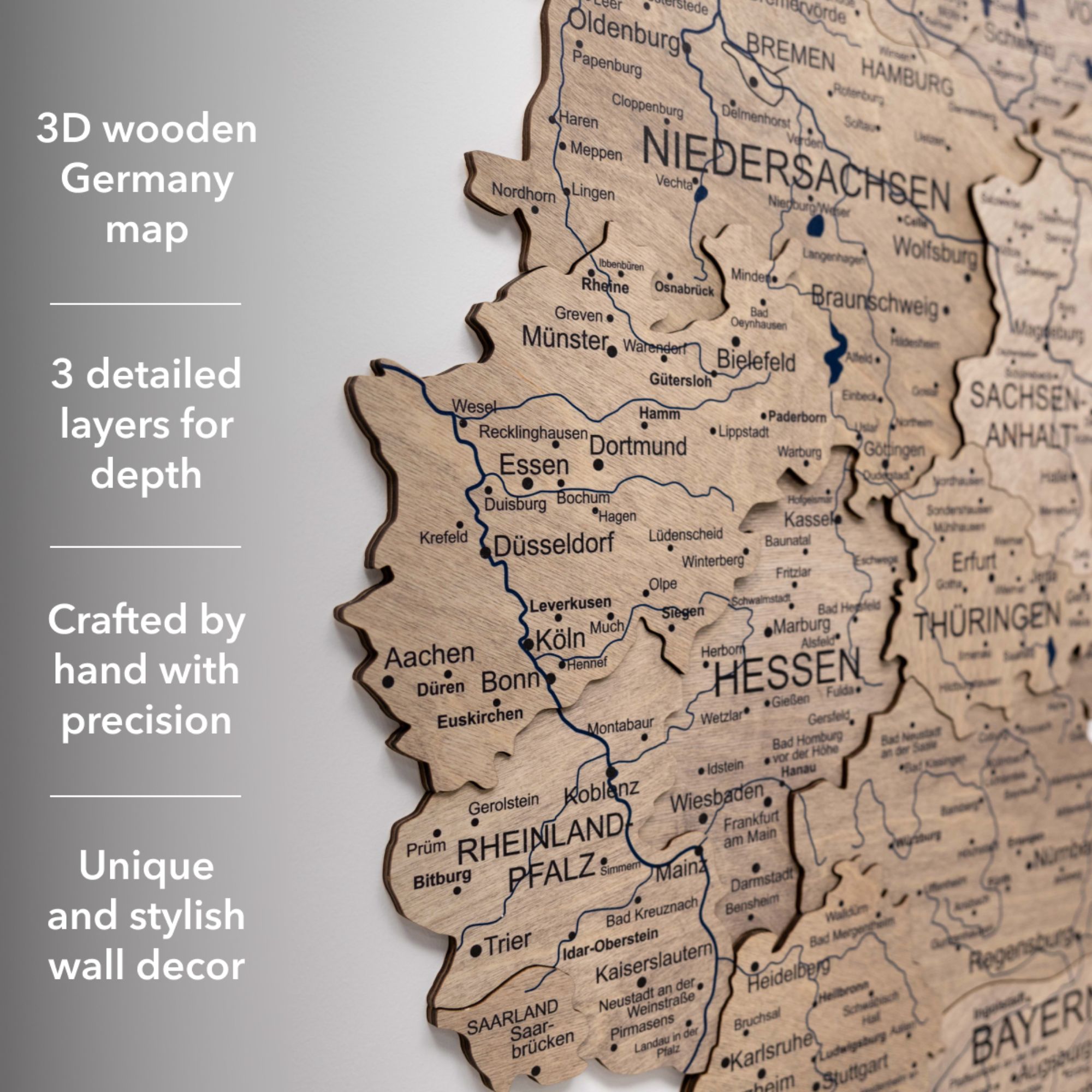 3D Germany Wooden Map Terra