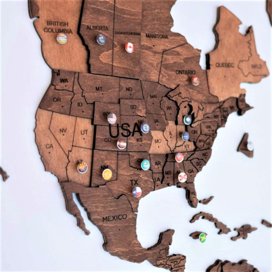 3D Wooden World Map Oak (for US only)