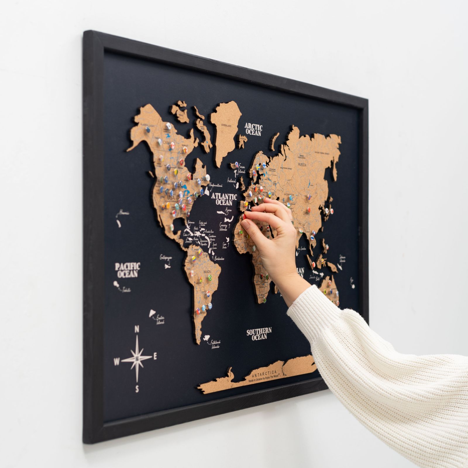 Cork Panel World Map