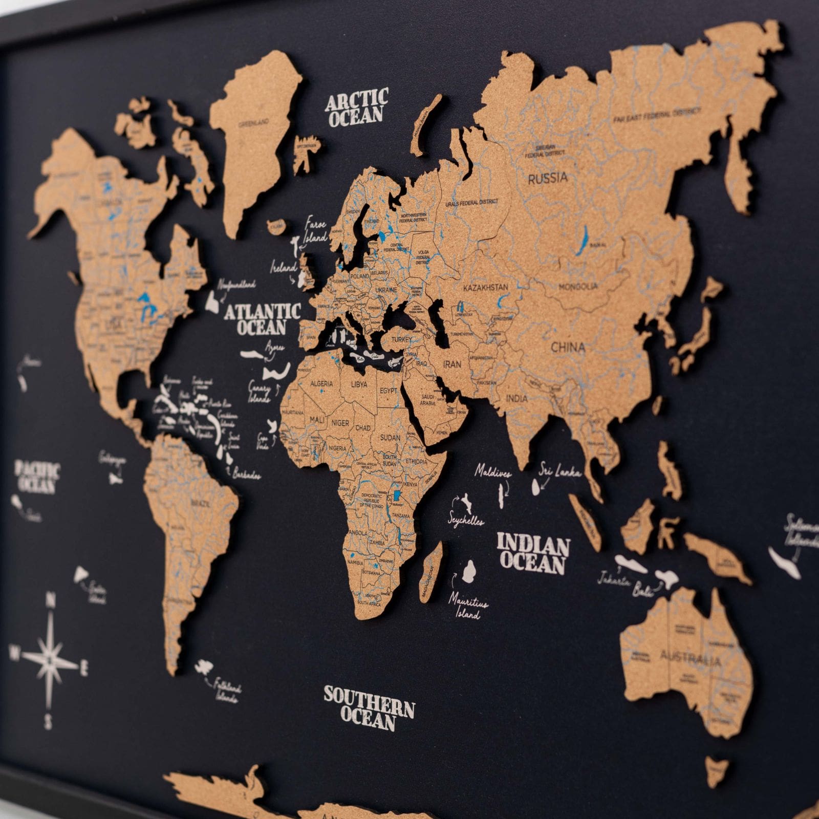 Cork Panel World Map