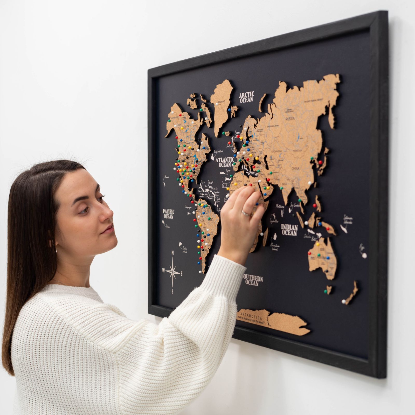 Cork Panel World Map