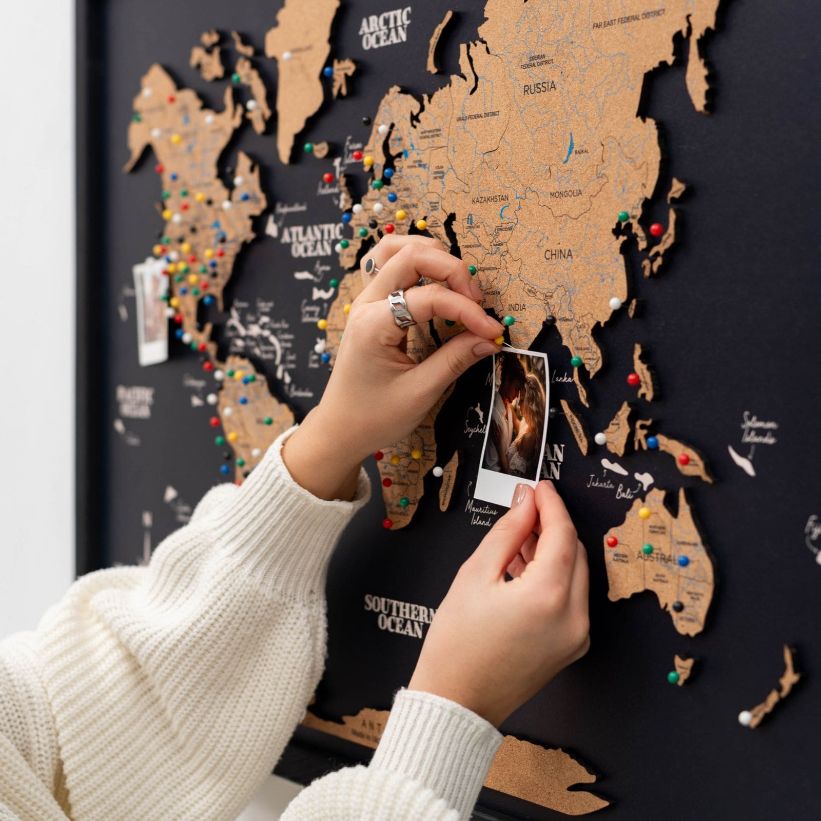 Cork Panel World Map