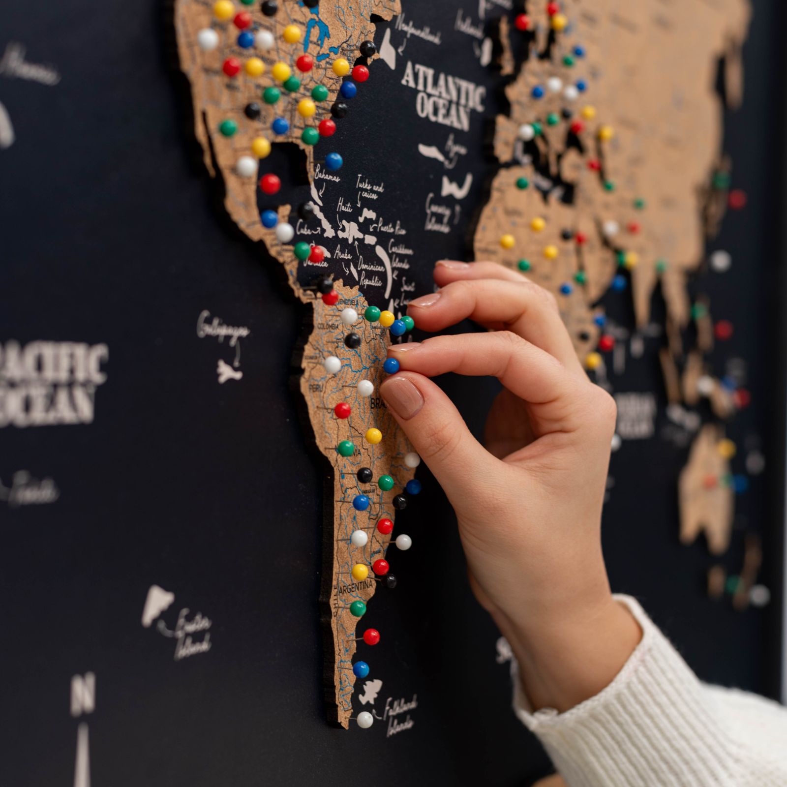 Cork Panel World Map