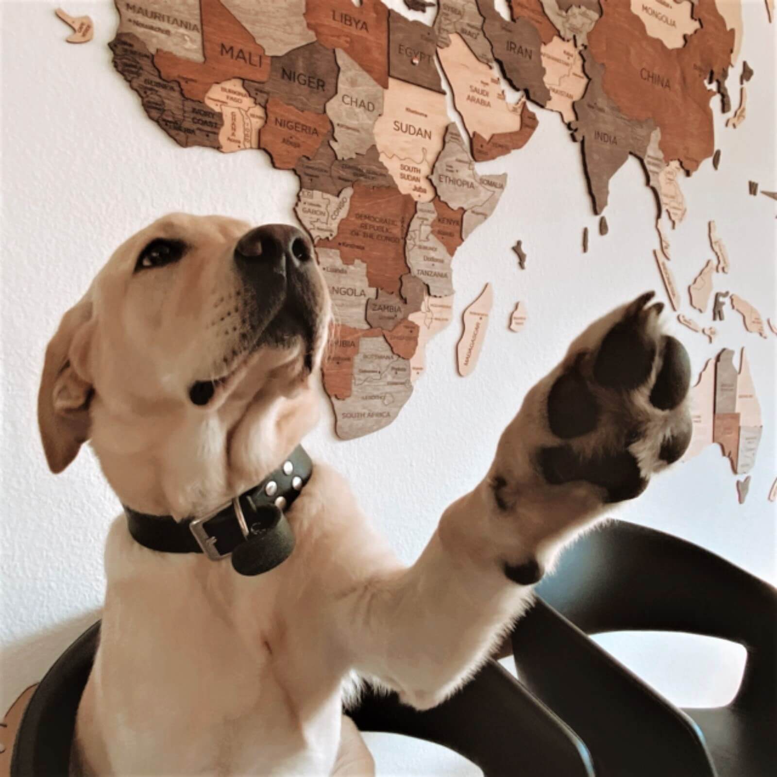 Brown Wall Art for Living Room