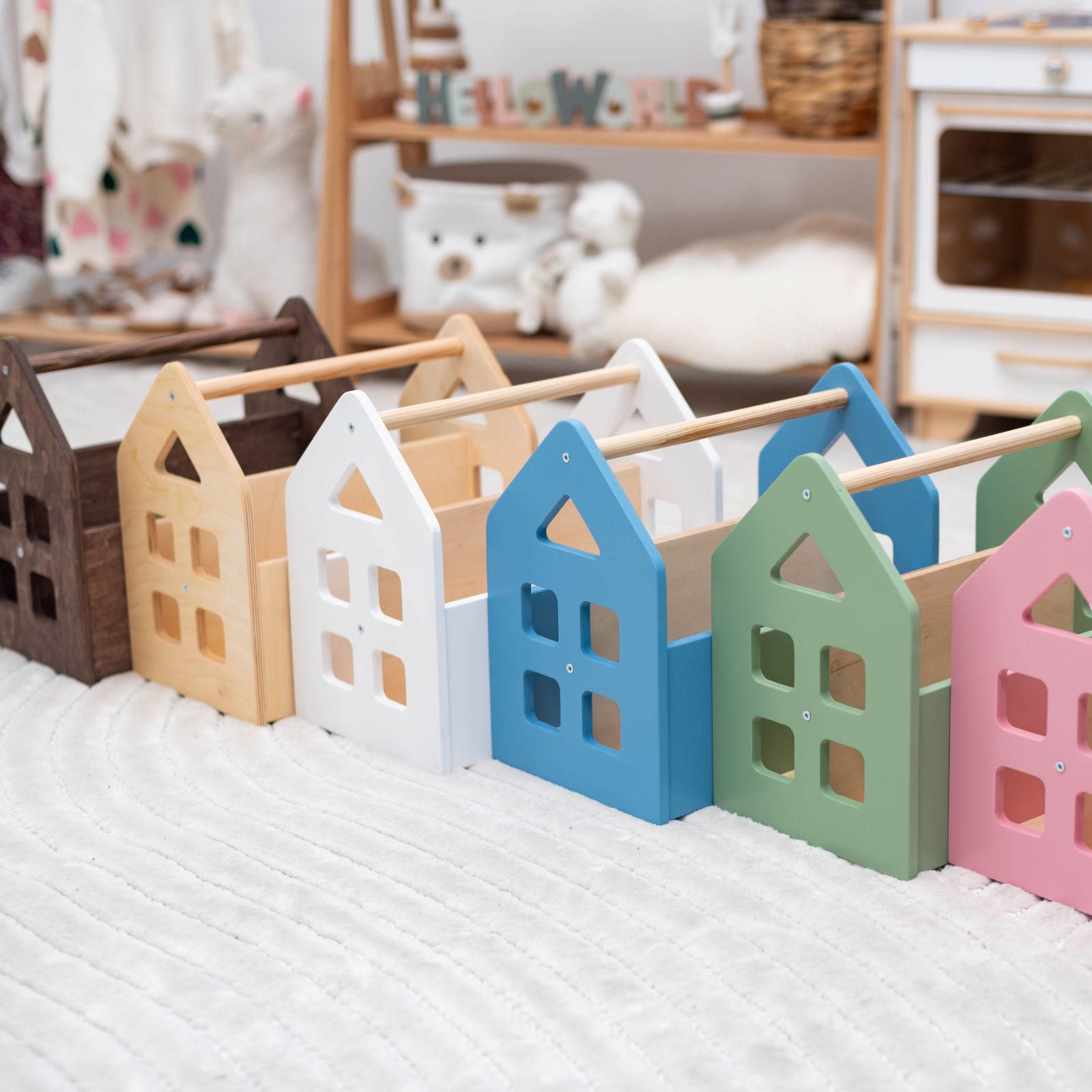 Color Montessori Book Shelves