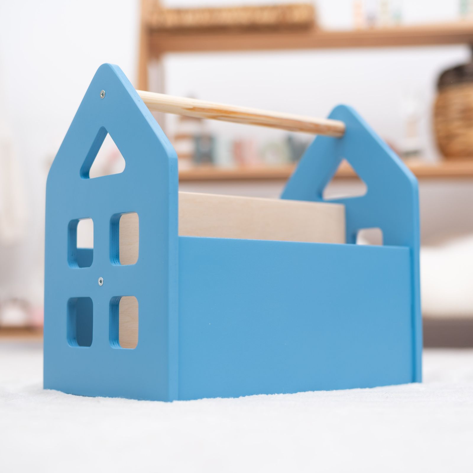 Color Montessori Book Shelves