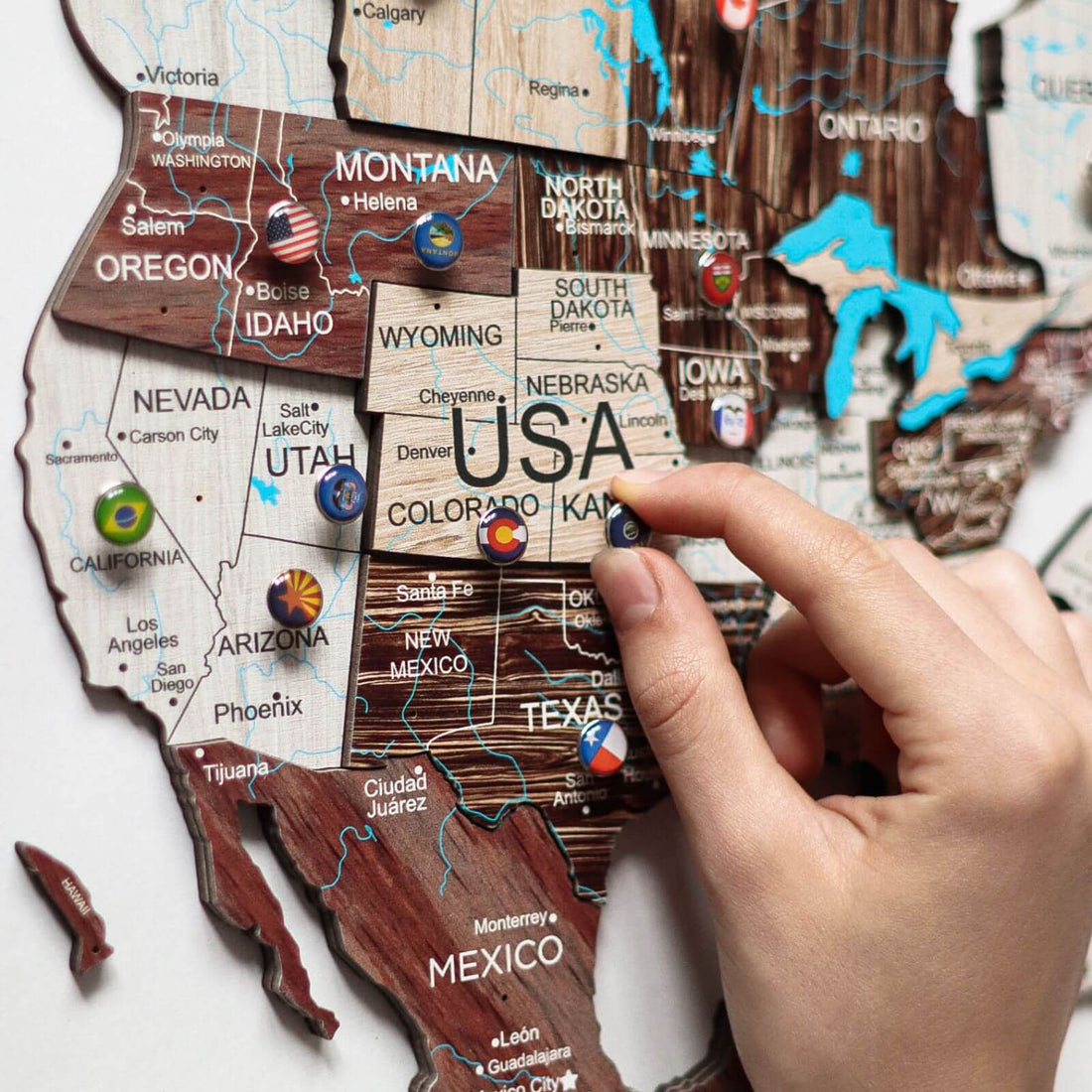 3D Wooden World Map Cappuccino (for US only)