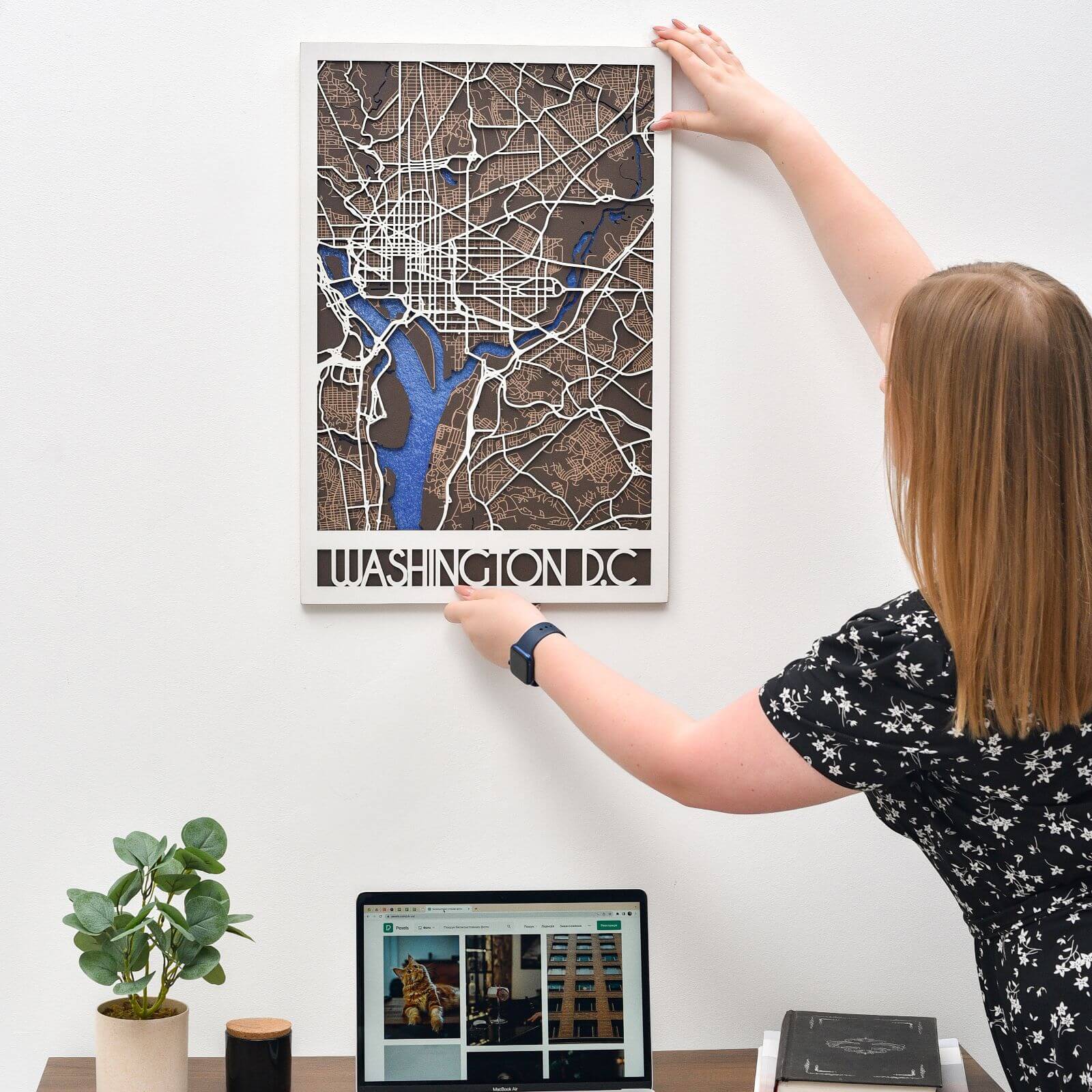 3D City Map Washington